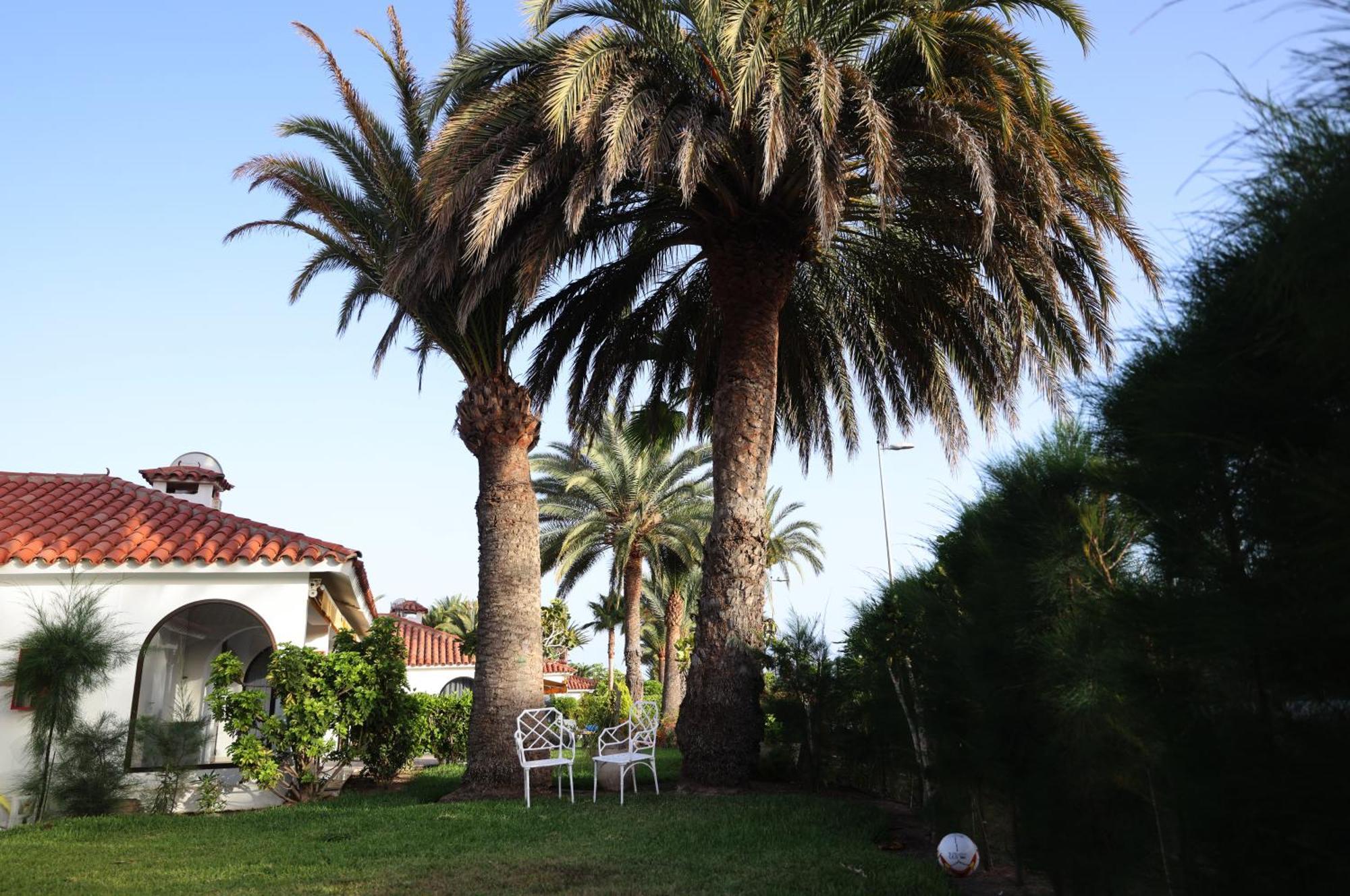 Sun Club Playa Del Ingles Hotel Eksteriør billede