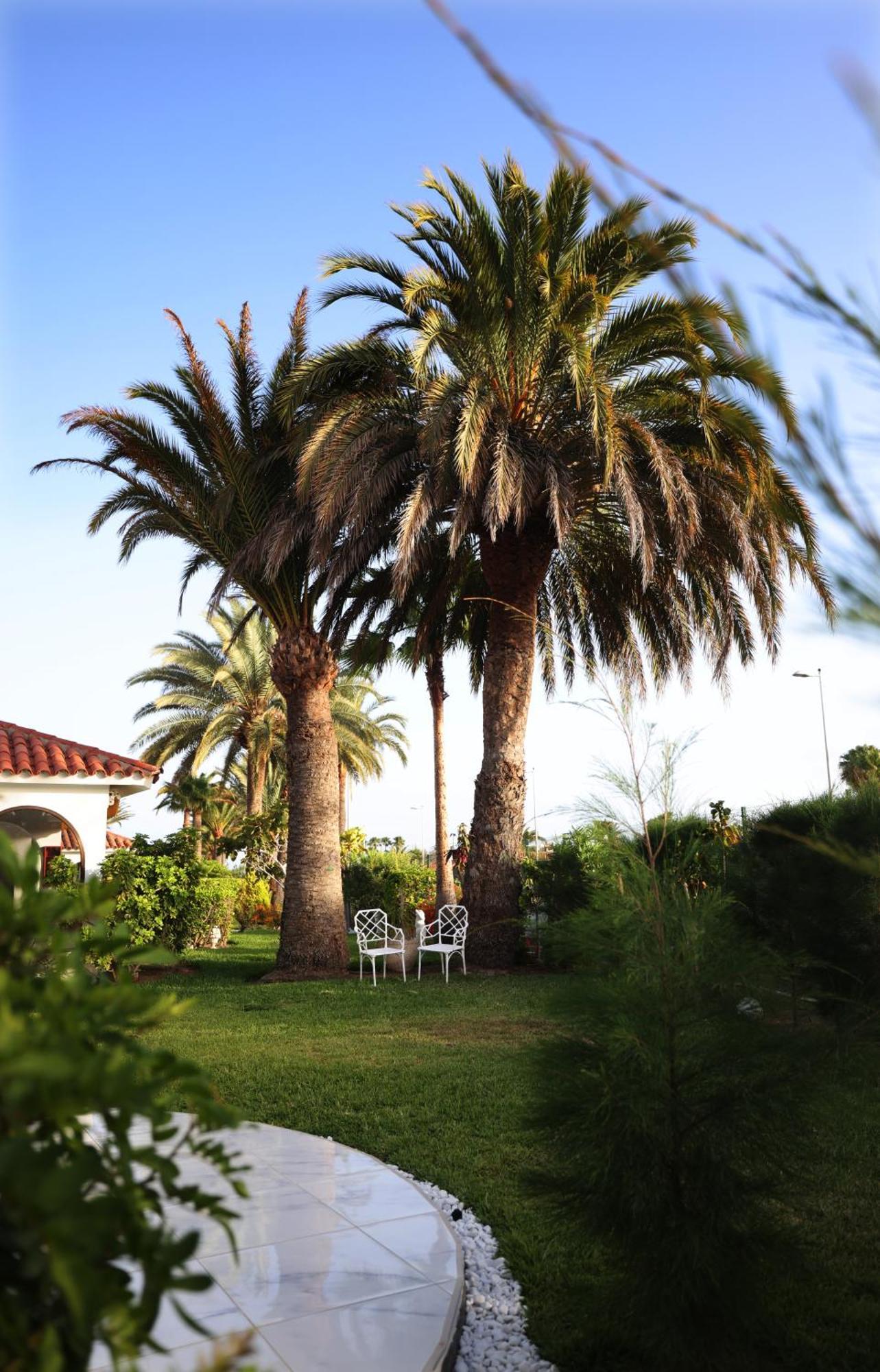 Sun Club Playa Del Ingles Hotel Eksteriør billede
